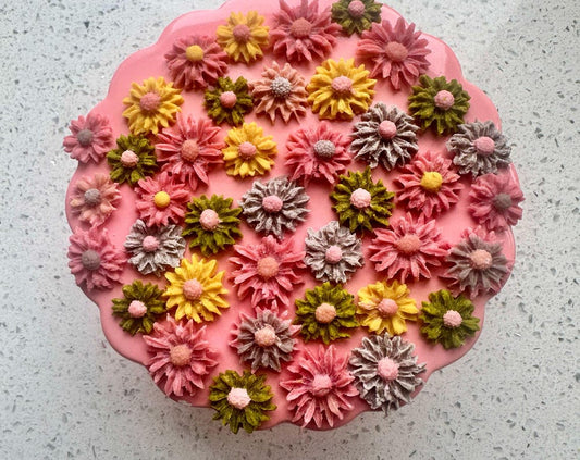 Daisy Flower Cat Treats - 20 pack