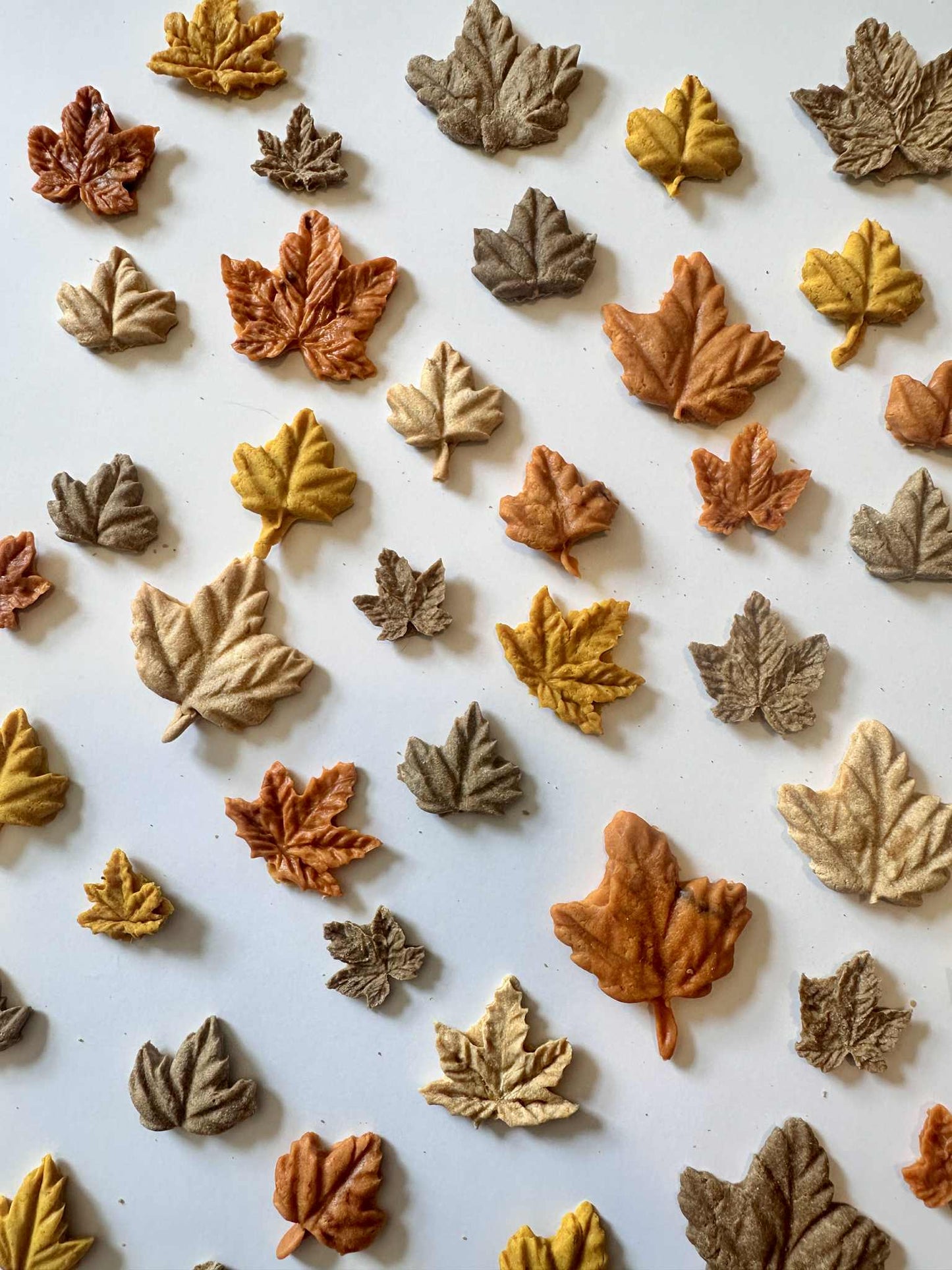 Cat Treats Value Pack