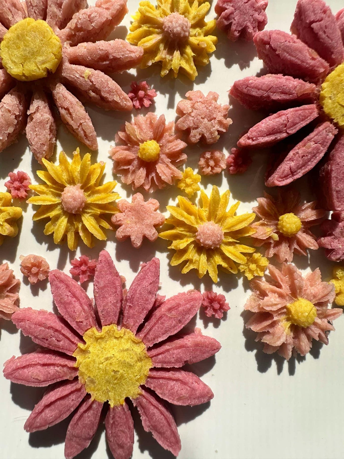 Flower Pack Mixed Cat Treats - Assorted 0.6oz