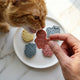 Adventure Cat Treats: 5-Pack